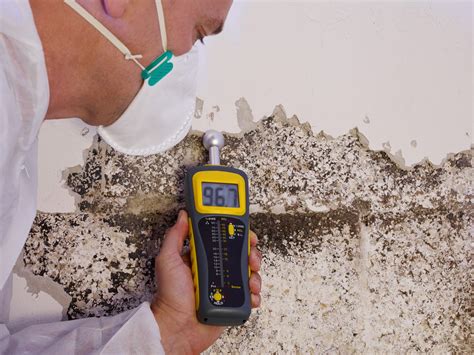 cost of moisture inspection